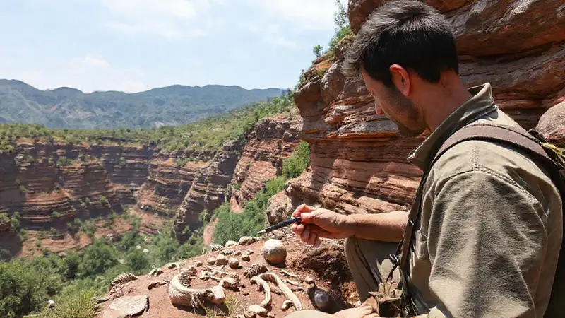 Geólogo examina fósiles en paisaje natural