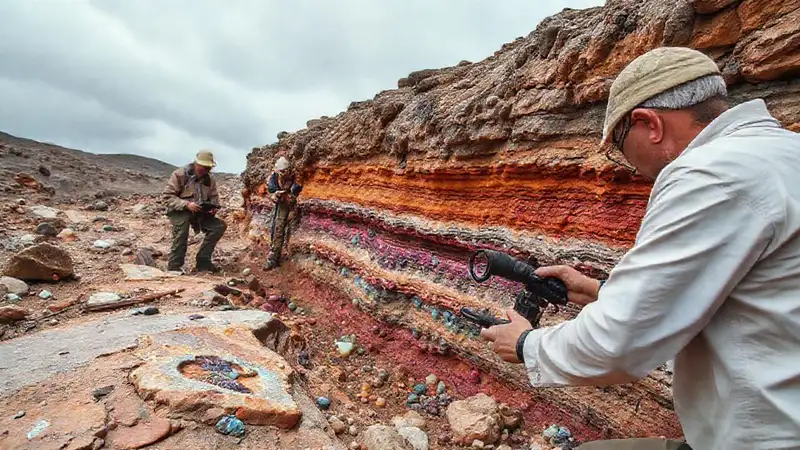 Geólogos analizan fósiles en excavación detallada