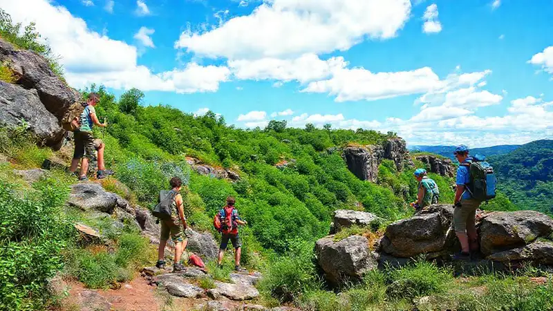 Estudiantes en clase al aire libre en naturaleza
